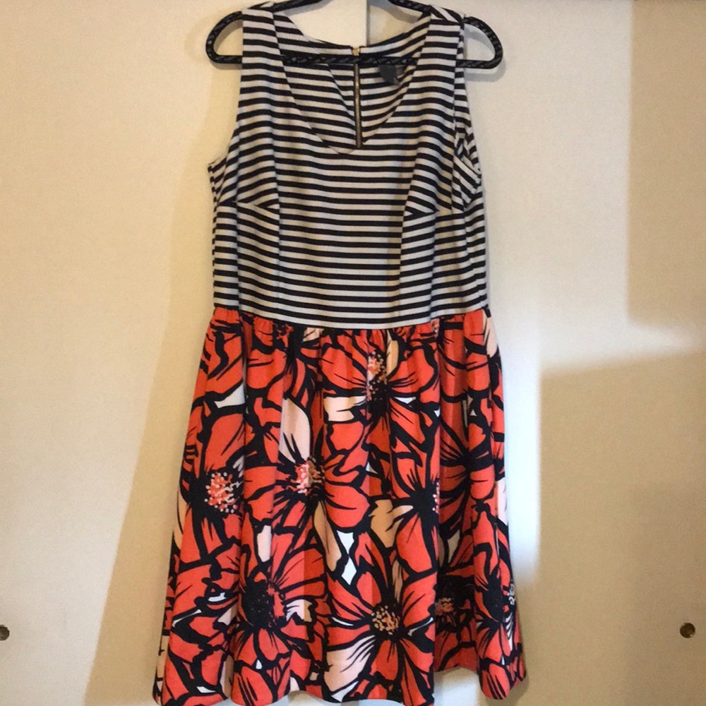 Women’s Plus Taylor Dress
